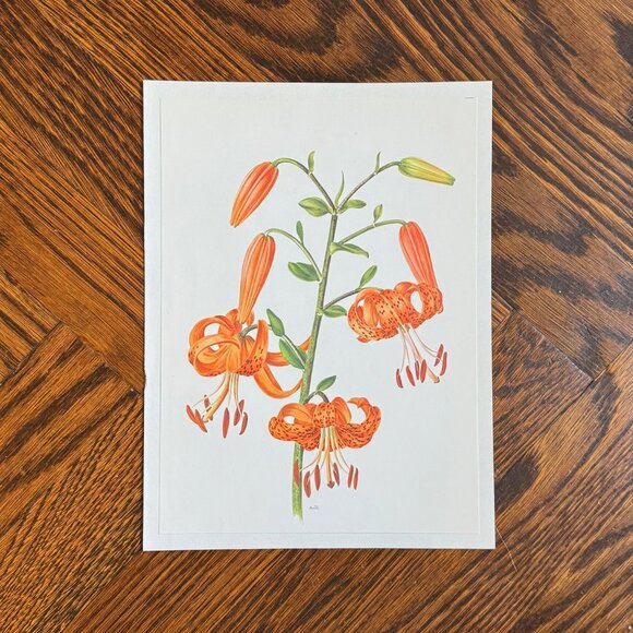 Vintage French Flower Prints Set 4 - Picture 2 of 5